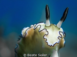 Nice nudi by Beate Seiler 
